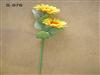 SINGLE SUN FLOWER