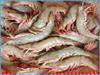 OCEAN CAUGHT SHRIMP 