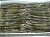 FARM RAISED SHRIMP 