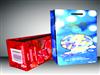 Plastic Laminated Packaging Bag