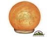 WBM Himalayan Hand Carved Globe Salt Lamp