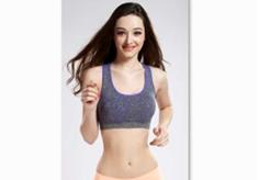 Ladies Seamless Bra