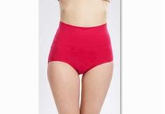 Ladies Seamless Brief