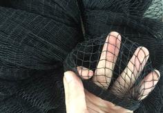 nylon sardine net 